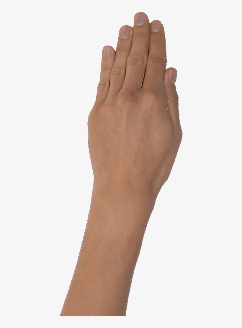 You Can Find The Most Important Milestones Of Our Fantastic - Girl, transparent png download