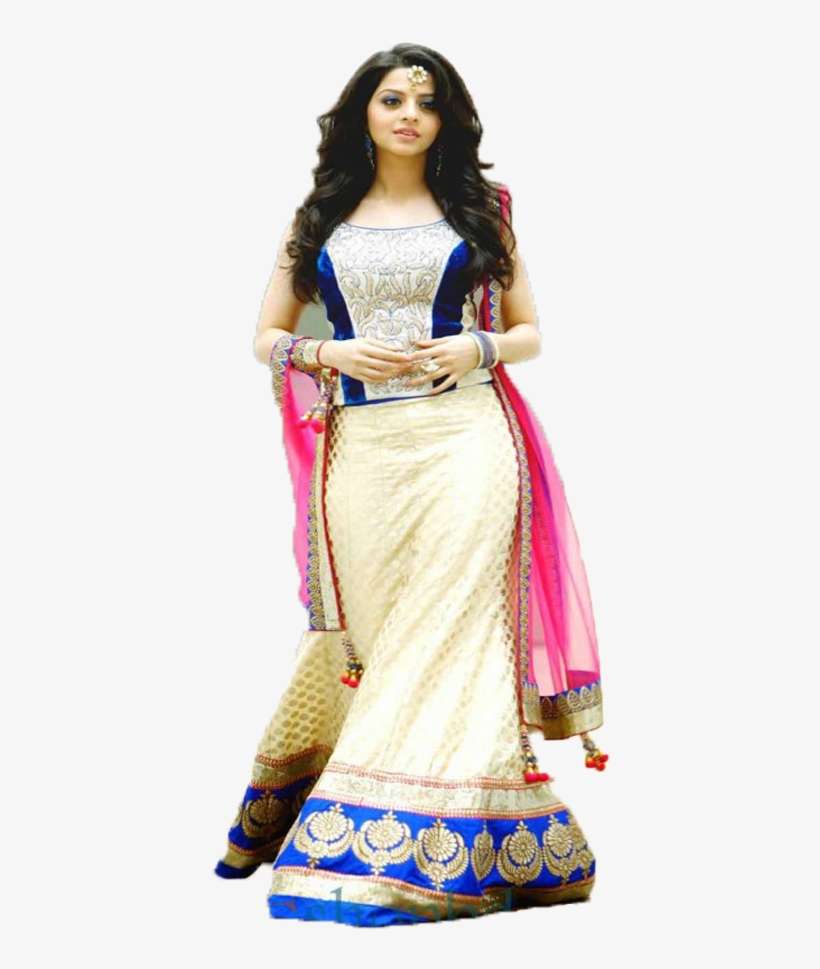 Png - Indian Beautiful Women Profile, transparent png download