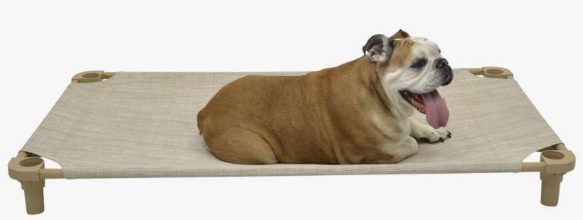 52×30 Premium Tweed Cot - Olde English Bulldogge, transparent png download