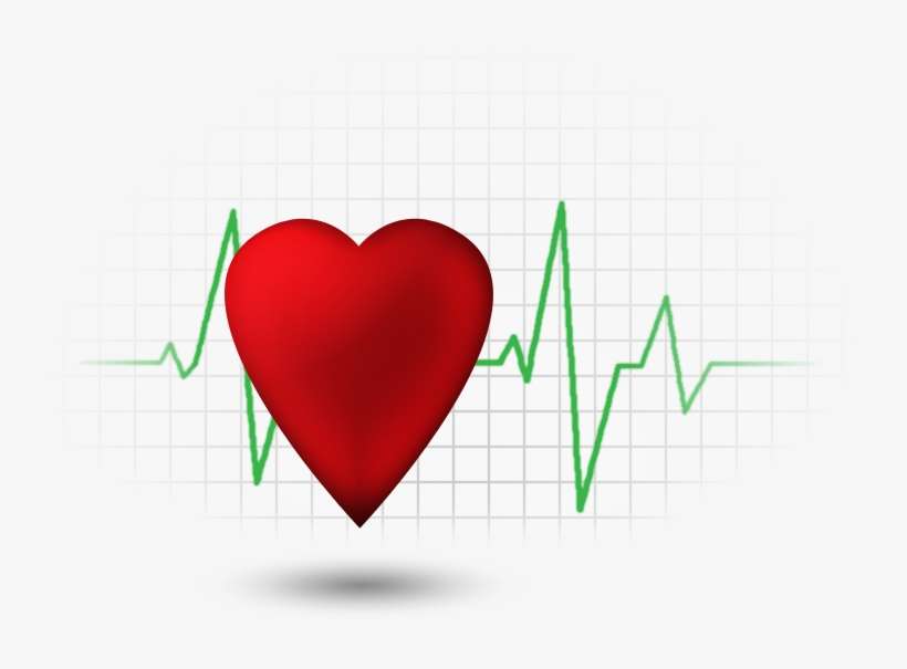 On The Tenth Day Of Fitness, Hh Fitness Brought To - Heart, transparent png download