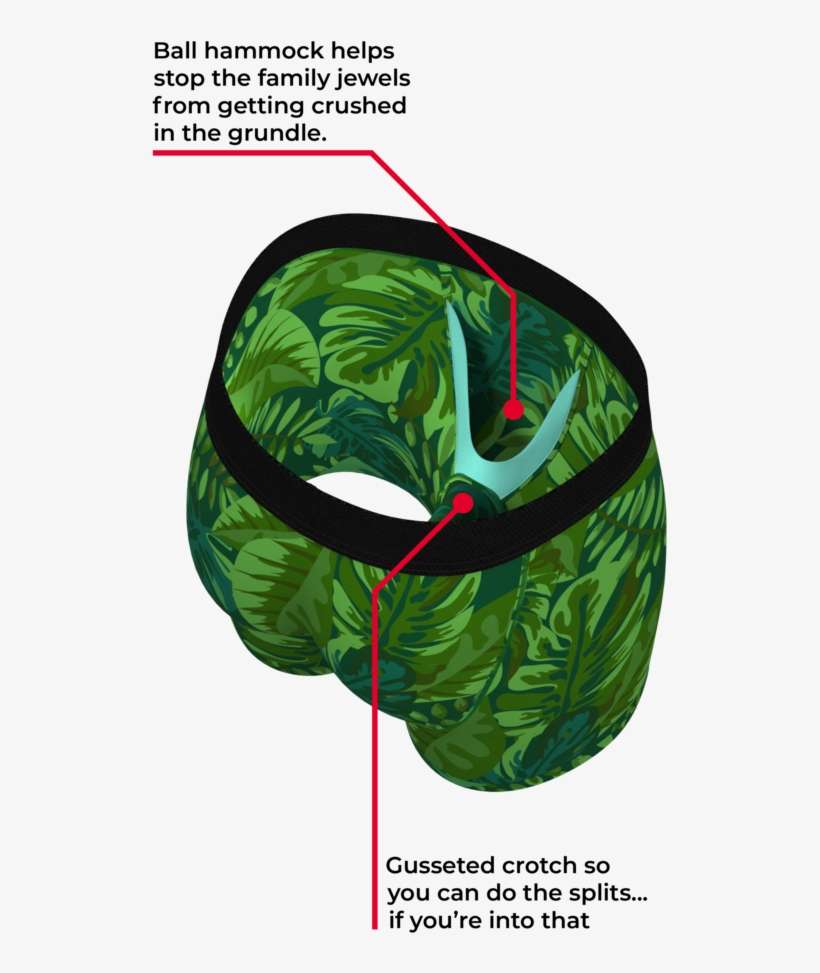 Men's Leopard Print Ball Hammock Boxer Briefs - Ball Hammock, transparent png download