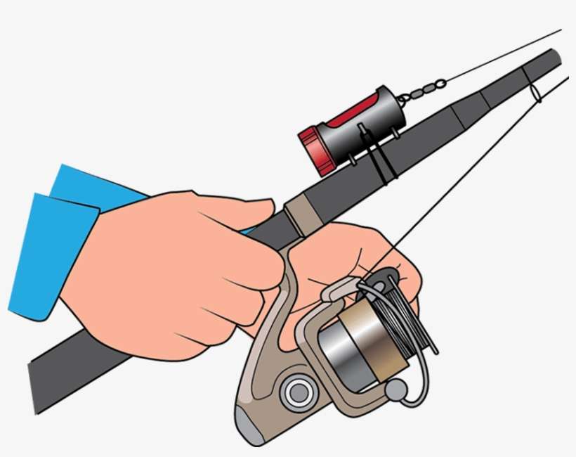 Royalty Free Hook Tamer Catch Fish Not Fingers Reel - Store Hook Fishing Rod, transparent png download
