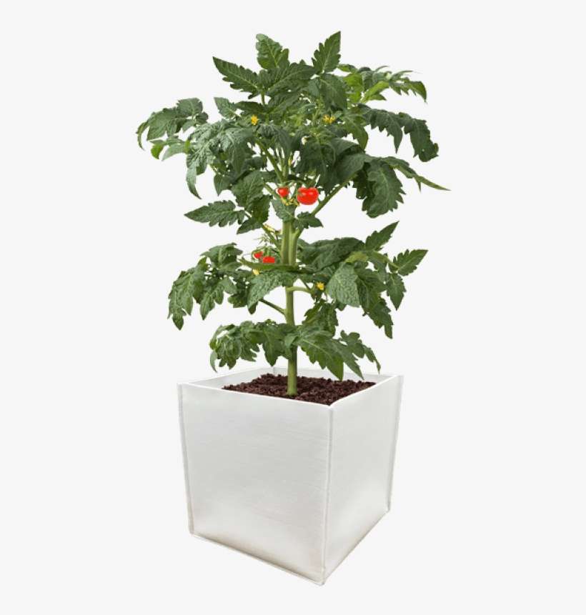 Durapot Grow Pot - Grow Vegetables Indoors, transparent png download