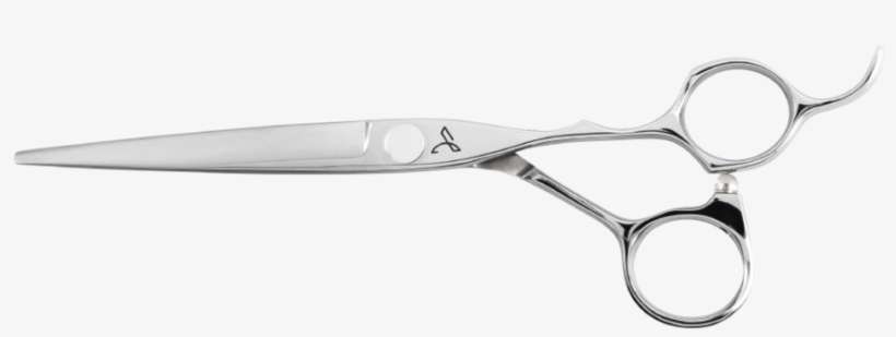 Paragon Sword - Scissors, transparent png download