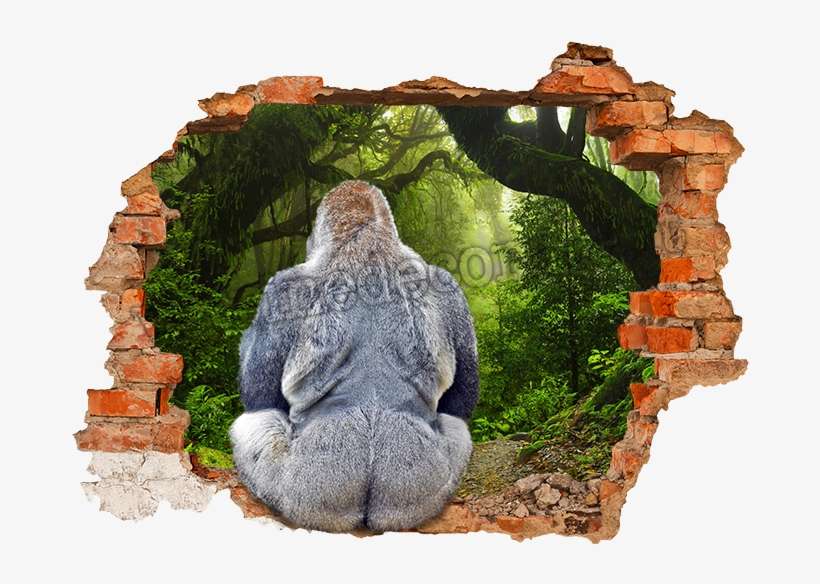A Fake Hole In The Wall To A Gorilla In The Jungle - Wandtattoo Loch, transparent png download