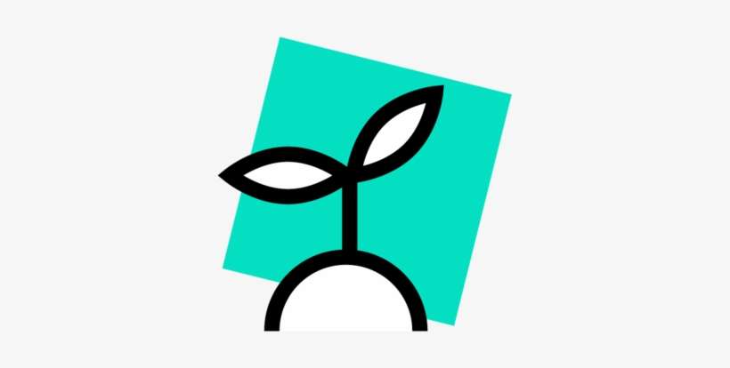 Entry Level Short@2x, transparent png download