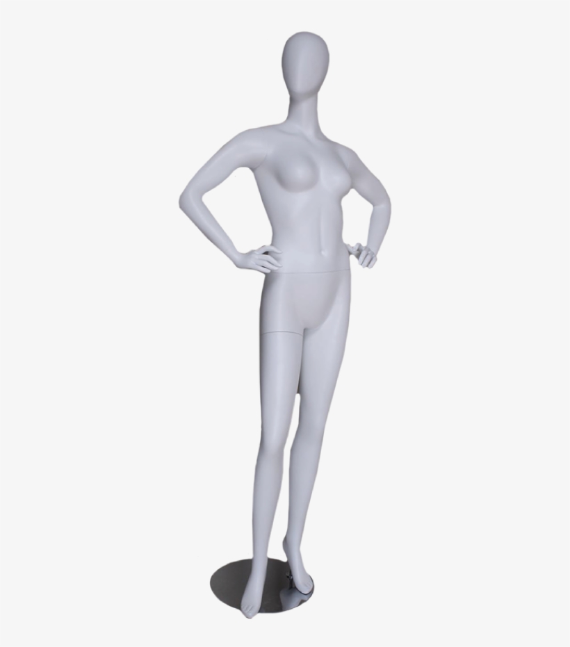More Views - Spandex, transparent png download