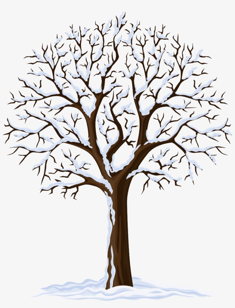 874 X 1101 5 0 - Four Season Tree Png, transparent png download