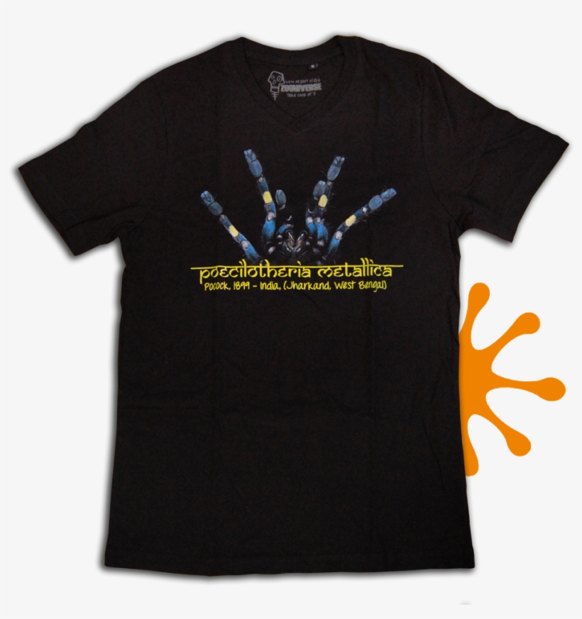 Poecilotheria Metallica - Active Shirt, transparent png download