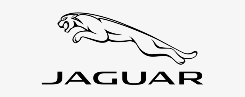 Jaguar, transparent png download