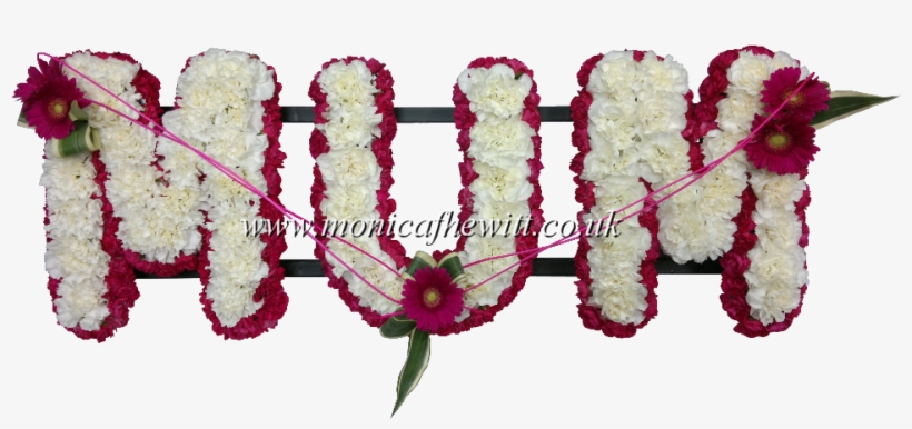 Carnation & Bordered - Mum Carnation Funeral Flowers, transparent png download