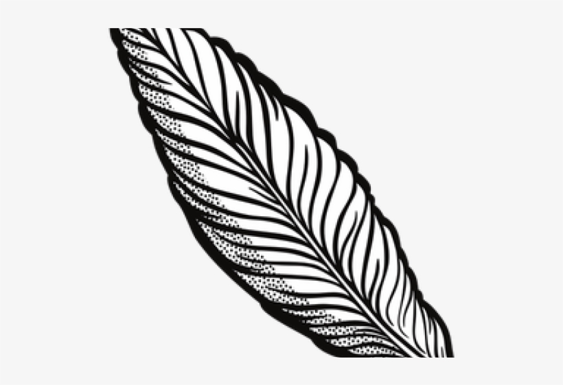 Quill Clipart Transparent Background - Transparent Feather Clipart, transparent png download