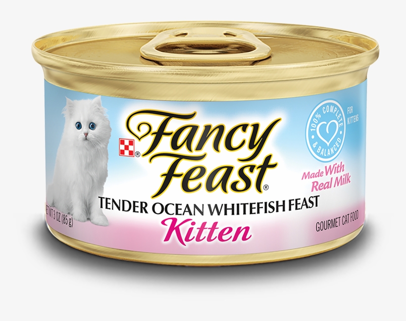 Kitten Food - Cat Grabs Treat, transparent png download