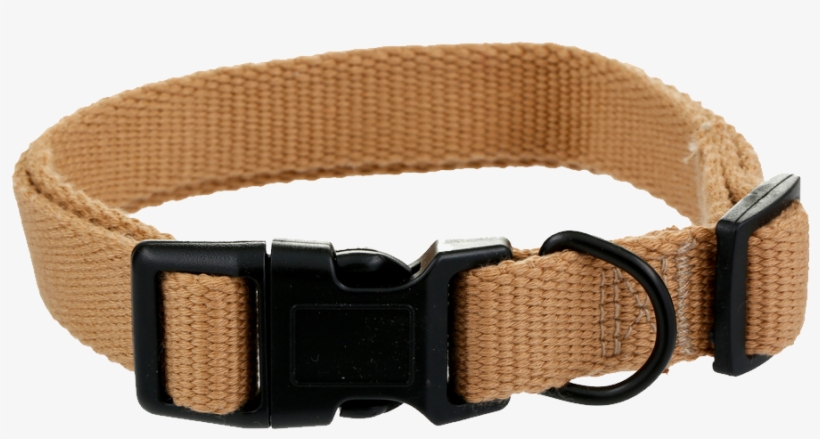 Metal Dog Collar - Strap, transparent png download