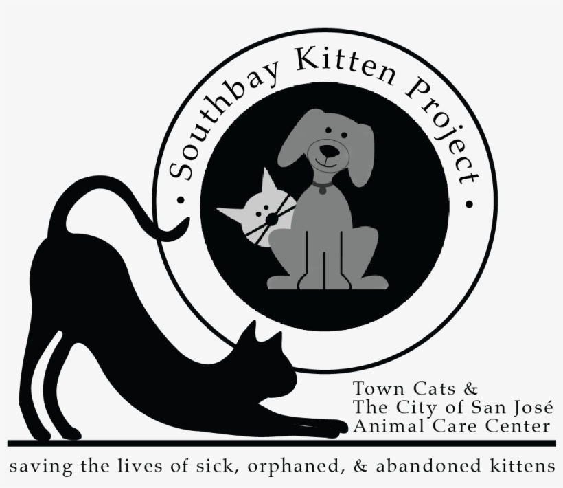 Introducing The South Bay Kitten Project - Illustration, transparent png download