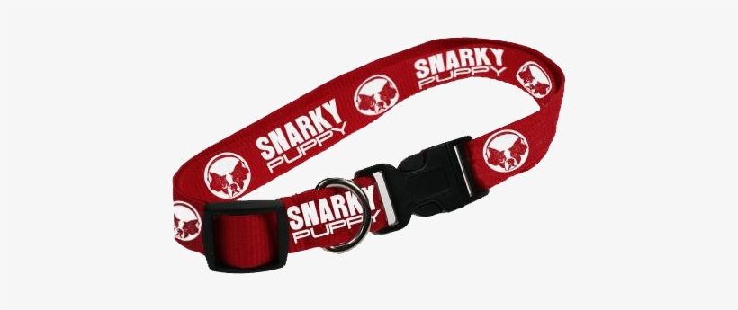 Logo Dog Collar - Strap, transparent png download