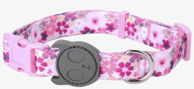 Our New Dog Collar - Belt, transparent png download