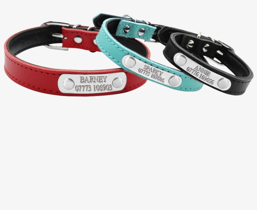 Leather Personalized Dog Collar - Collier Chat Personnalisable, transparent png download