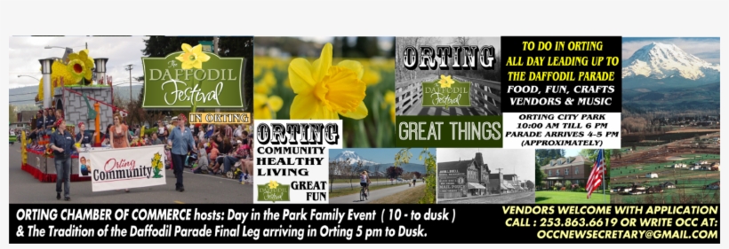 Spring Is Here Again And The Daffodil Parade Will Be - Narcissus, transparent png download