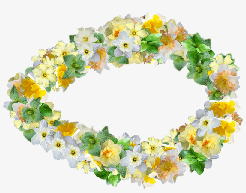 Daffodils, Flowers, Spring, Narcissus, Decoration - Sunflower, transparent png download