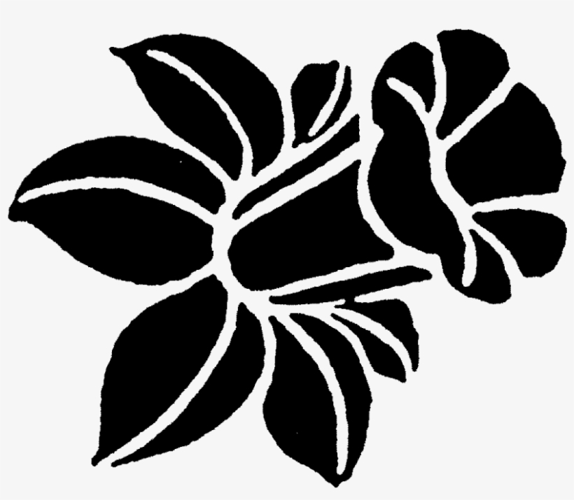 Zoom Daffodil Head Rubber Stamp - Illustration, transparent png download
