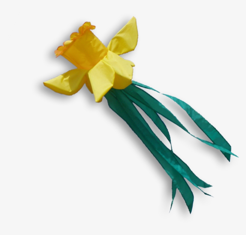 51133 Windsock Daffodil Narcis Narcisse Paasbloem - Narcissus, transparent png download