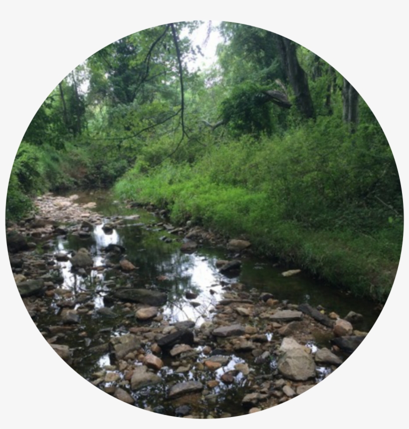 Out Of Local Streams - Tributary, transparent png download