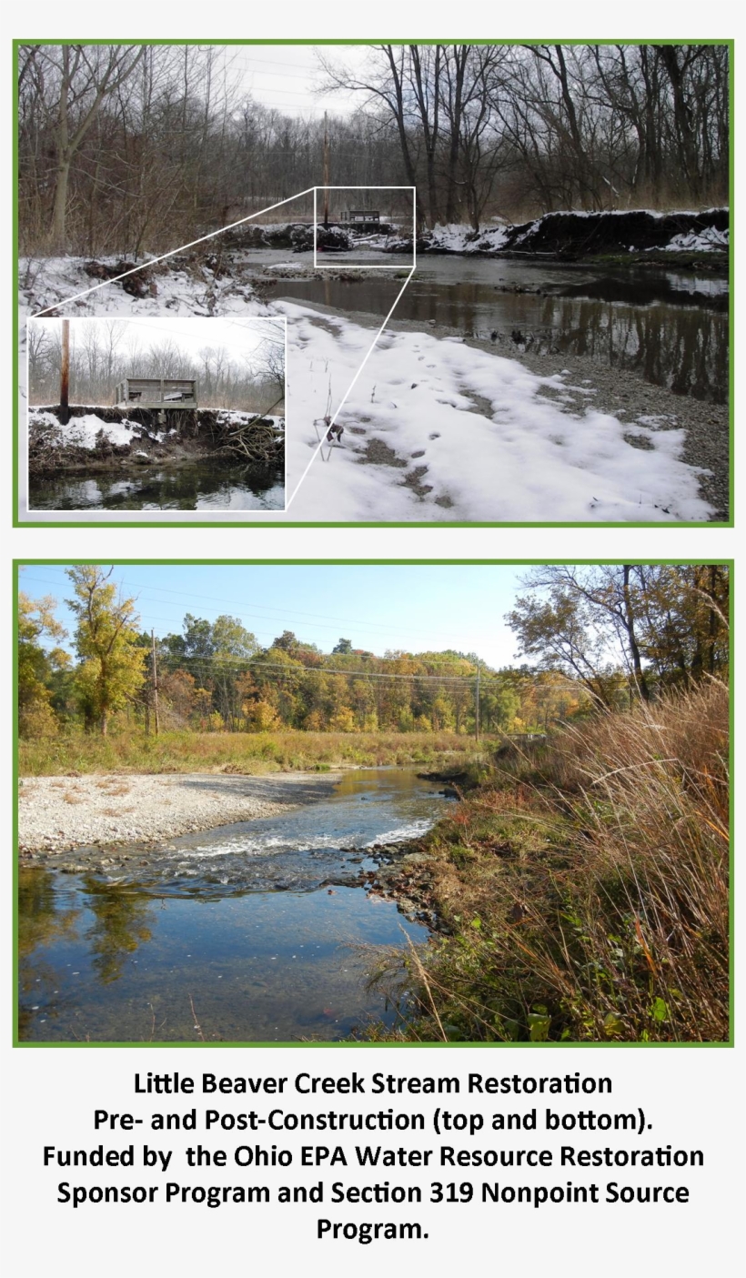 At Coldwater, We Specialize In Helping Clients Acquire - Reflection, transparent png download