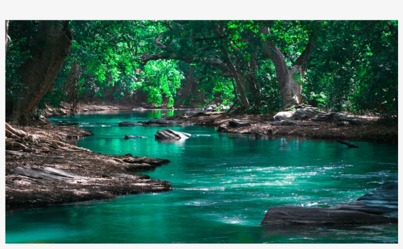 Score 50% - Environmental Issues, transparent png download