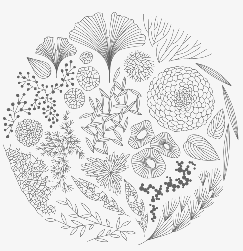 Vector Black And White Stock Moorigin Artistry Pinterest - Line Art, transparent png download