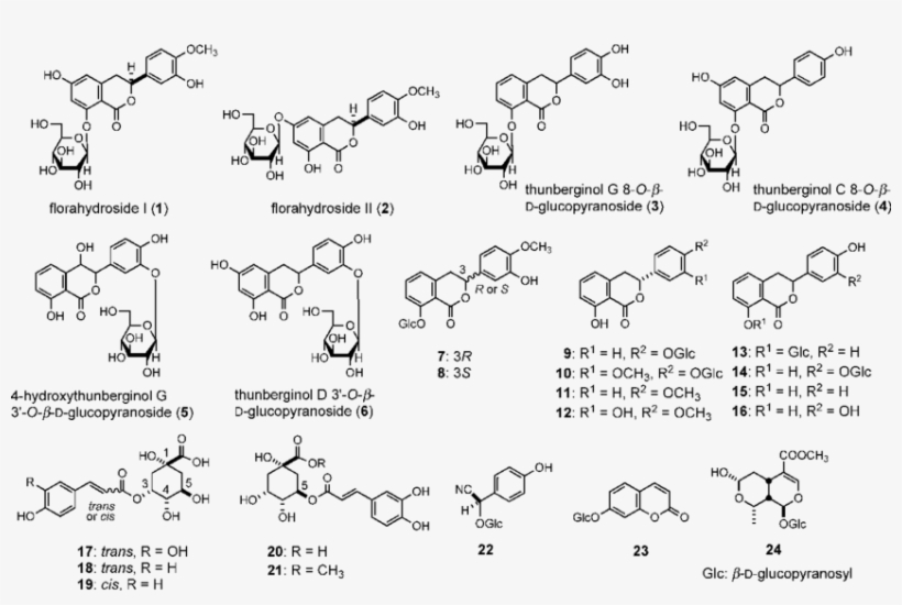 Structures Of Constituents From The Flower Of Hydrangea - Proton Sponge Effect, transparent png download