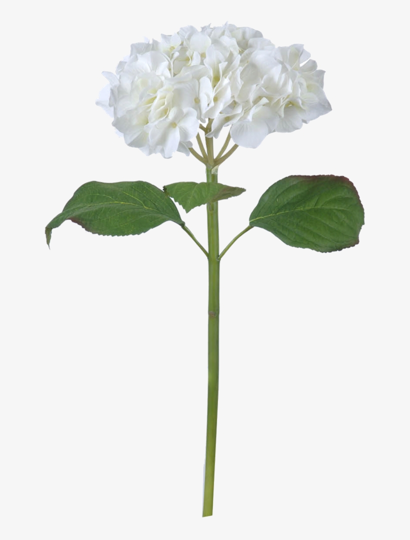Productimage0 - Artificial Flower, transparent png download