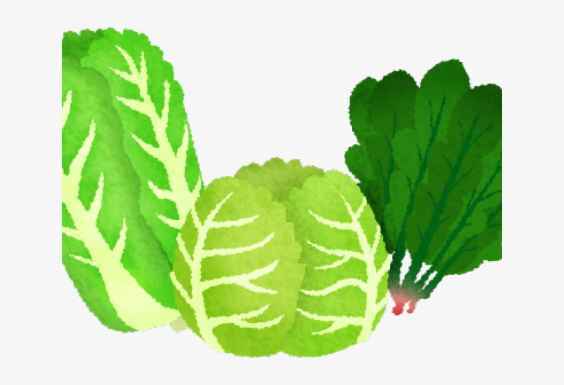 Vegetables Clipart Celery - Green Leafy Vegetables Clipart, transparent png download