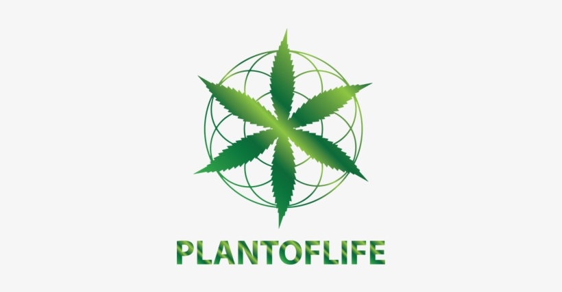 Cropped Plant Of Life Logo Header 1 - Illustration, transparent png download