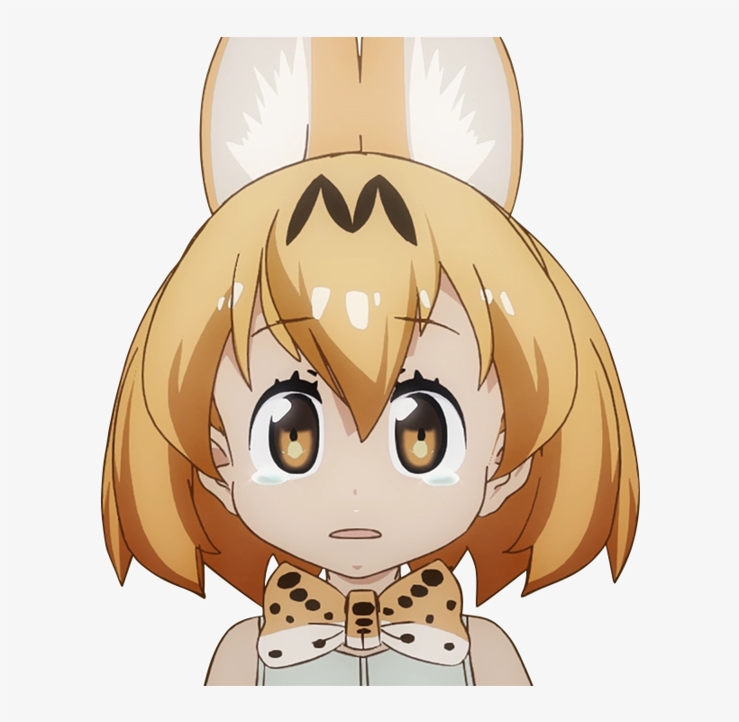 That's Weird , - Kemono Friends Serval Sad, transparent png download