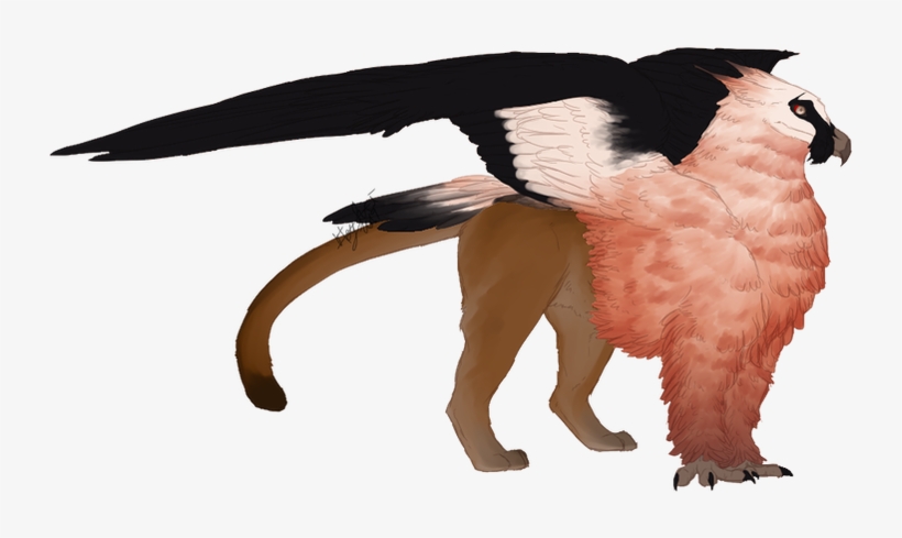 Mjölnir - Cockatoo, transparent png download