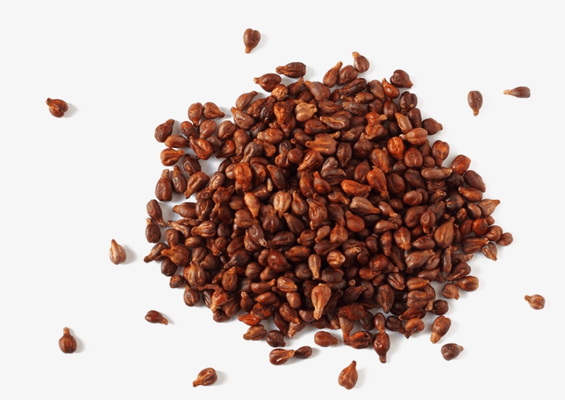 Grapeseed Phytosome - Grape Seed Png, transparent png download