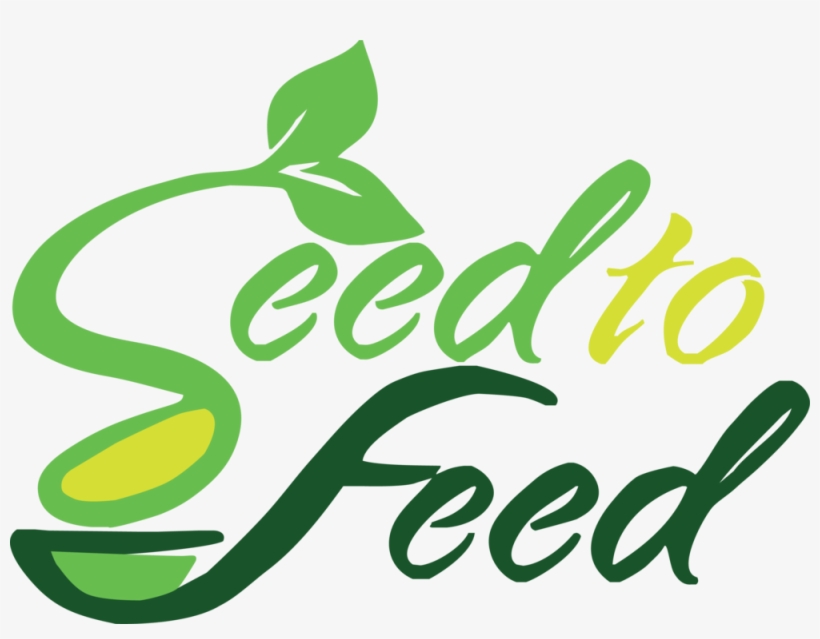 Stf Vector - Seed, transparent png download