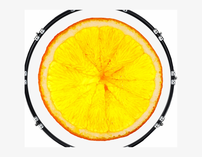 Animal Black Panther Front, transparent png download