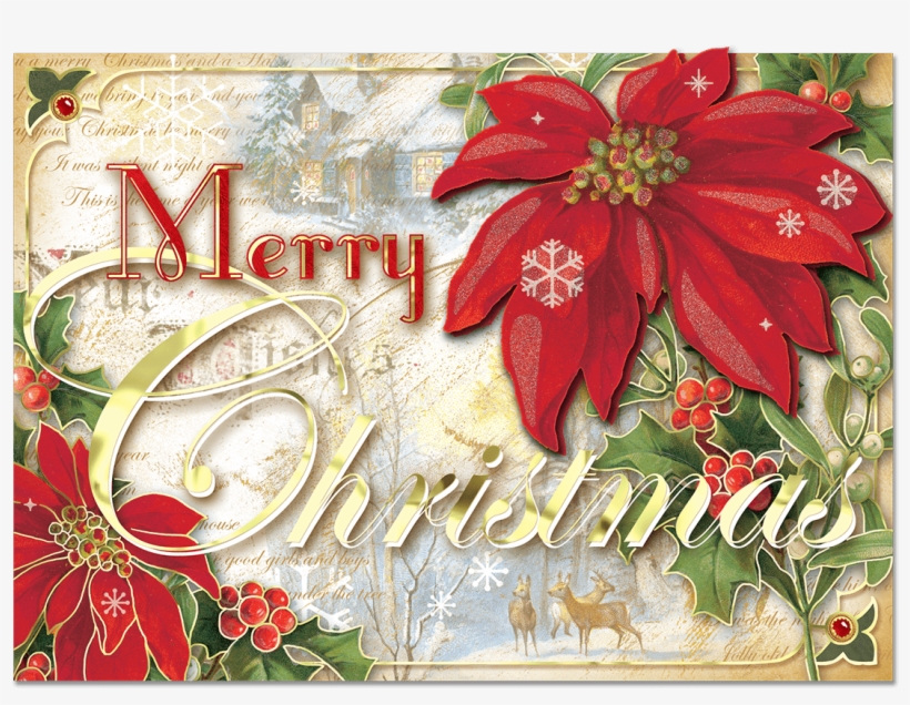 Poinsettia Design Christmas Cards, transparent png download