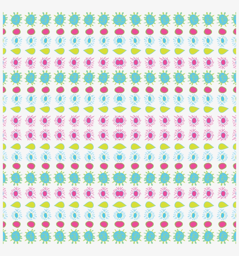 Sopa De Letras Del Ciclo Celular, transparent png download