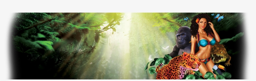 Beauty In The Wild Bg - Sunlight, transparent png download