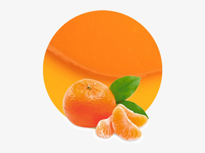 Mandarin Concentrate - Tangerines Png, transparent png download