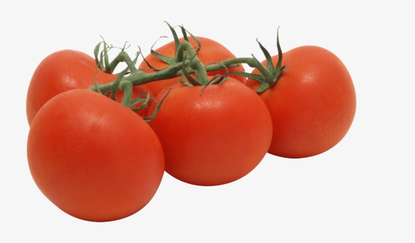 Storage Temperatures - Tomate Fascínio, transparent png download