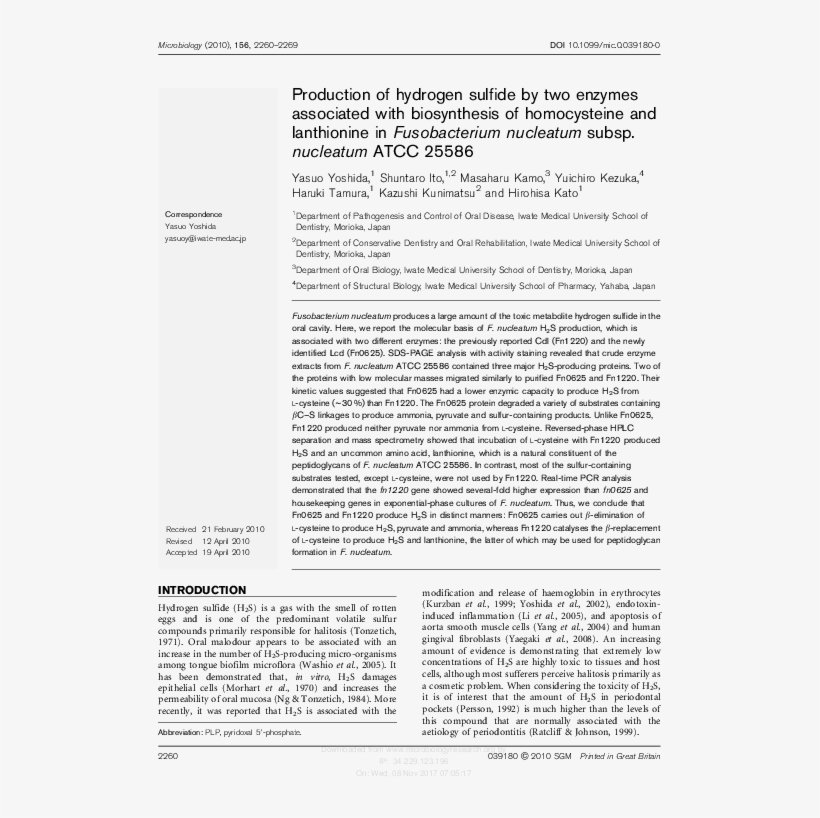 Pdf - [no Title], transparent png download