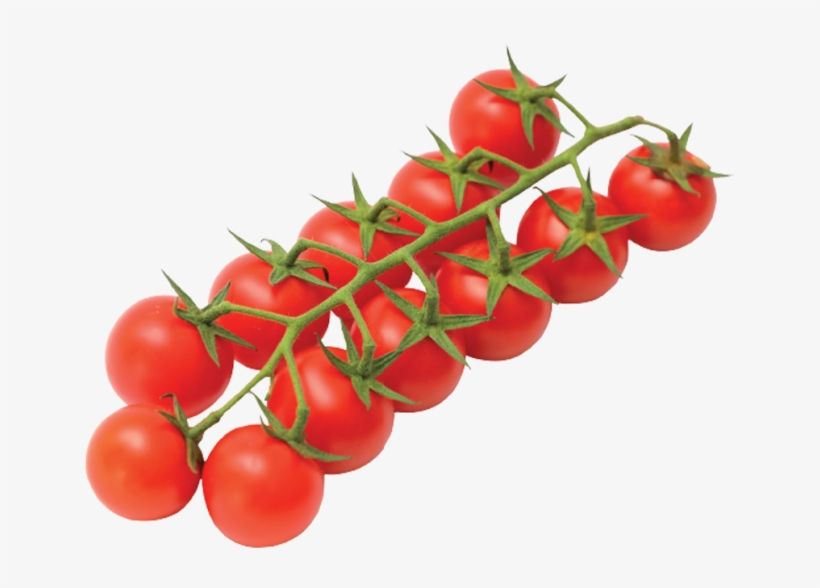 Vittoria Tomatoes Home Eng - Cherry Tomatoes, transparent png download