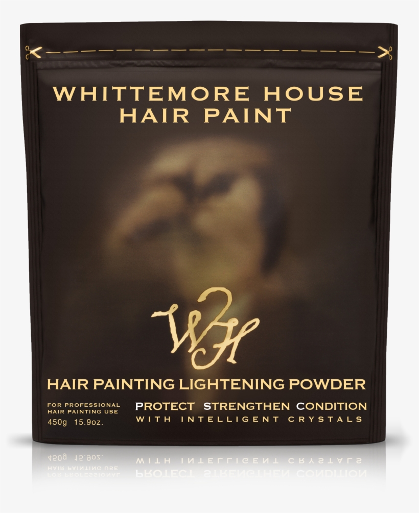 Whittemore House Hair Paint - Book Cover, transparent png download
