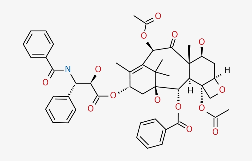 Paclitaxel - Chemistry In Medicine Png, transparent png download