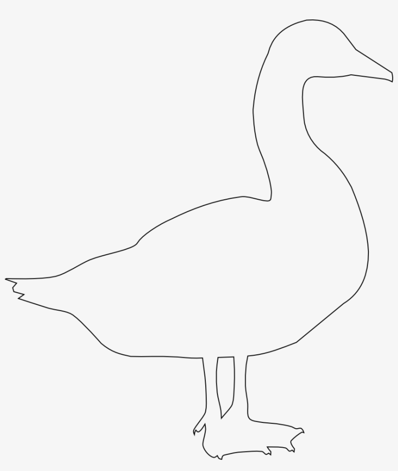 Goose Photo - Goose, transparent png download