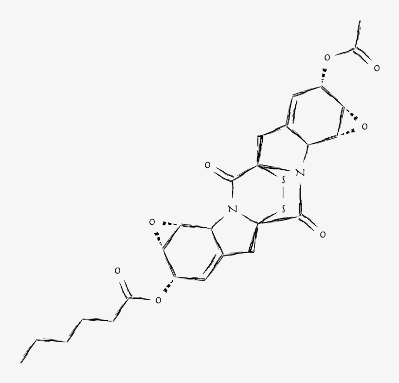 This - Line Art, transparent png download